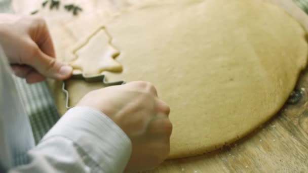 私は生地からモミの木の形を作ります。最高の自家製ジンジャーブレッドクッキー — ストック動画