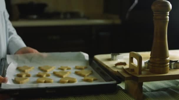 Baka degen former. Den bästa hembakade pepparkakan Cookie — Stockvideo