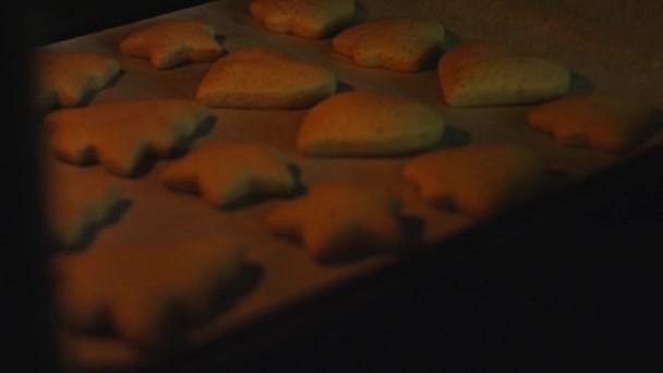 Baka degen former. Den bästa hembakade pepparkakan Cookie — Stockvideo
