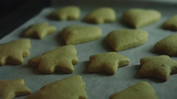 Piec kształty ciasta. Najlepszy domowej roboty piernik Cookie — Wideo stockowe