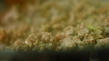 Baharatları ve kızarmış hindiyi karıştır. Chili con carne pişir, Meksika mutfağı. Makro çekim