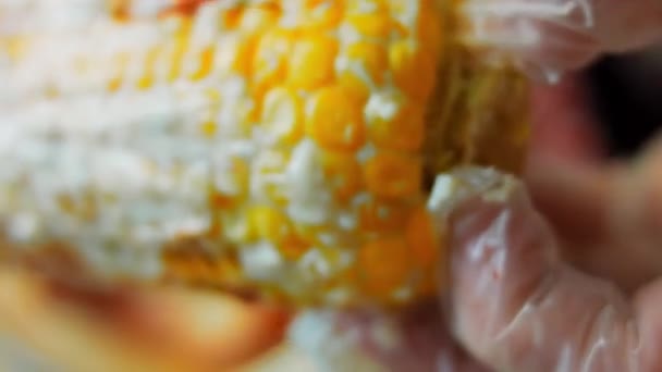 Puse pimentón y chile en polvo sobre elote de maíz mexicano. Disparos macro — Vídeo de stock