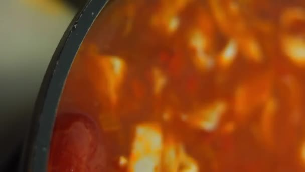 Wymieszać składniki do meksykańskiej zupy z drewnianą łyżką. Ujęcia makro — Wideo stockowe