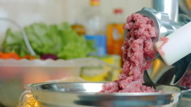 Mince Meat Electric Meat Grinder Domestic Kitchen Selective Focus — Stock Video