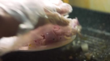 Izgarada kırmızı soğan pişir..