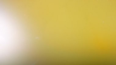 Patatesleri demir bir kasede kaynatın. Macro yoğun bir buhar altında..