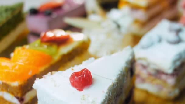 Kawałki Różnych Ciast Tacy Pieczenia Stylu Retro Zdjęcia Suwakowe Makro — Wideo stockowe