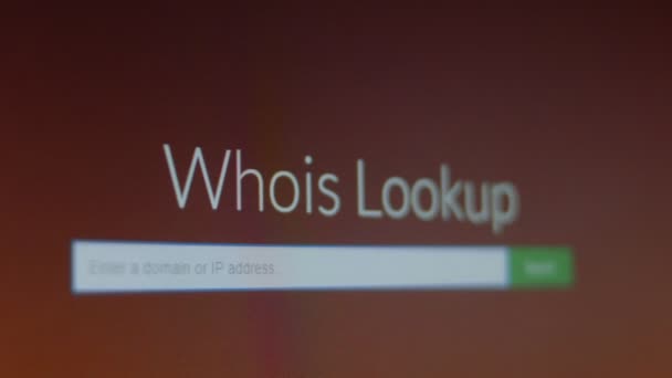 Whois Lookup Shooting Screen Pixel Mode — Stock Video