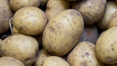 Bolca taze patates, patates hasadı.