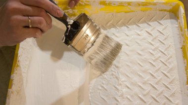 Boya banyosu ve boya fırçası.