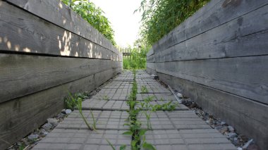 Yataklar arasındaki patika, bahçedeki kaldırım taşları