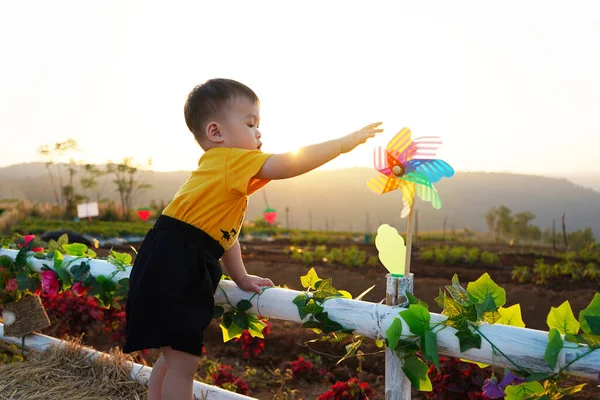 Little Asian Boy Playing Windmill Playground Which Dream Children Concept — ストック写真