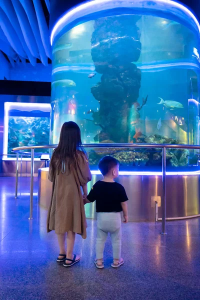 Mädchen Und Junge Beobachten Fische Aquarium — Stockfoto