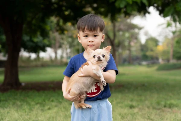 Malý Asijský Chlapec Šťastný Chihuahua Psa Parku Děti Domácí Mazlíček — Stock fotografie