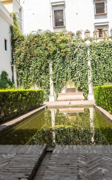 Real Alcázar Sevilla Complejo Palaciego Amurallado Construido Diferentes Edificios Históricos —  Fotos de Stock