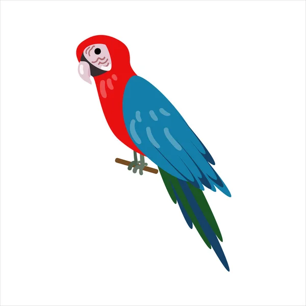 Ara parrot. Cartoon style. Isolated over white background. Vector illustration — Stockvektor