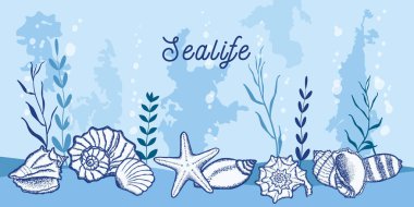 Deniz tabanında deniz kabukları. Deniz yosunlarıyla dolu sualtı manzarası.