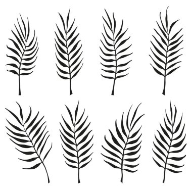 Avuç içi yaprakları siyah. Dal vektör seti. Dal bükme.