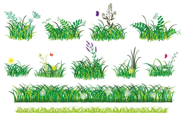 Green Grass Flowers Bunch Grass Tall Plants Daisy Flowers Grass — Stockvektor