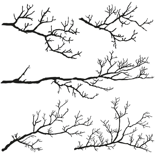 Tree Branches Leaves Black Silhouettes White Background — Stock Vector