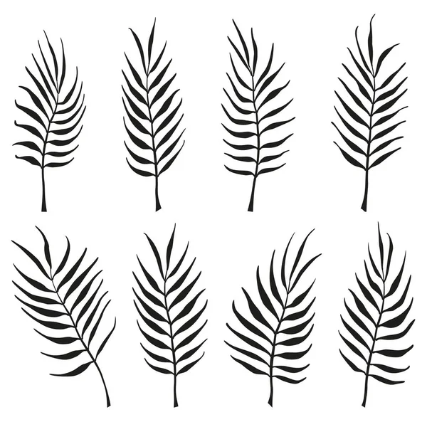 Avuç içi yaprakları siyah. Dal vektör seti. Dal bükme.