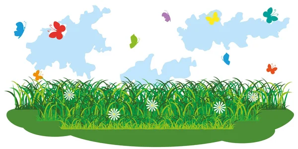 Green Grass Flowers Meadow Background Clouds Butterflies Vector Drawing — Stock Vector
