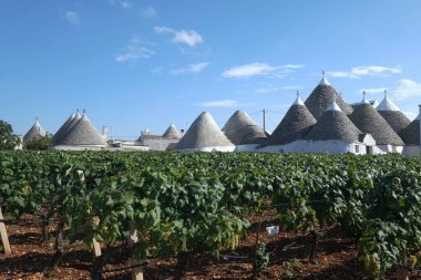 Beautiful Puglia landscape with traditional old Trullo or Trulli houses with vineyard, Apulia, Italy