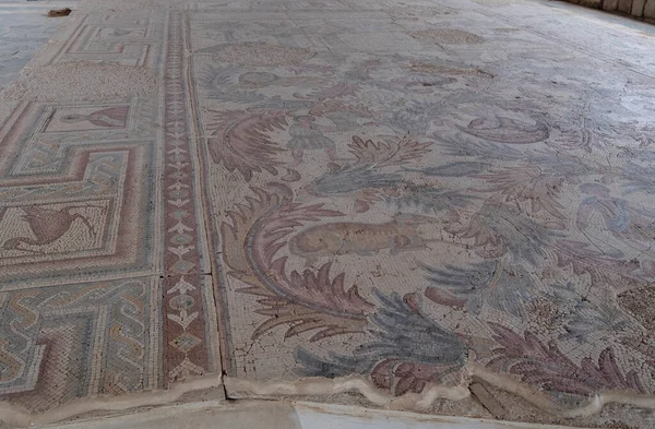 Monte Nebo Jordania Oriente Medio Fragmento Suelo Conservado Mosaico Bizantino —  Fotos de Stock