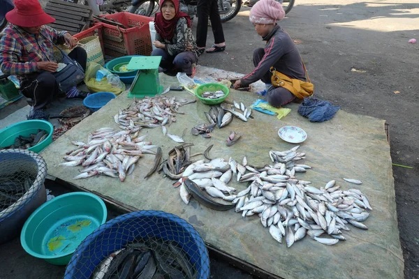 Kamboçya 'daki Battambang pazarında balık satan kadınlar. Tonle Sap gölünden gelen balıklar Battambang, Kamboçya 'da satılıyor. Yolda ve kovalarda ağlarla kaplanmış taze Asya balıkları.. 