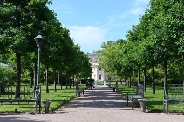 Güneşli bir yaz gününde yeşil ağaçların olduğu bir sokakta insanlar ağaçların gölgesinde banklarda oturuyor. St. Petersburg 'un merkezinde vatandaşların yaz tatili. 