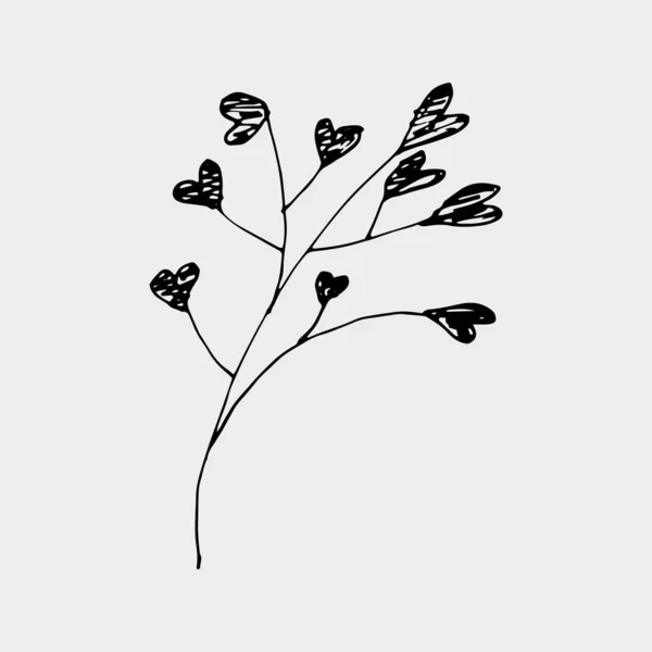 Vector dibujado a mano gypsophila negro tinta color — Archivo Imágenes Vectoriales