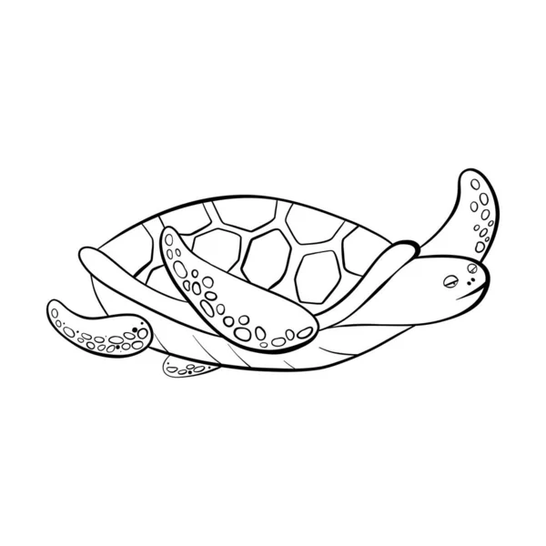 Vector Black Outline Cartoon Doodle Meeresschildkröten. — Stockvektor