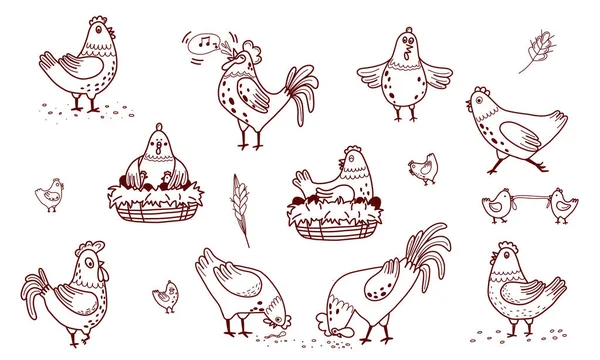 Hand drawn doodle vector domestic birds set — Vector de stock