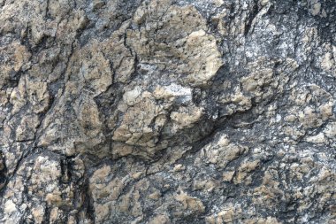 Yakından bakıldığında eski gri taş dokusu