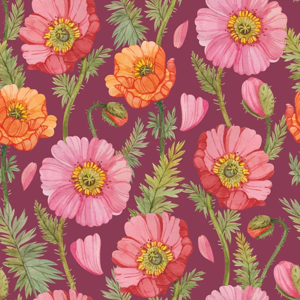 Naadloos Patroon Met Kleurrijke Aquarel Klaprozen Bloemen Print Met Klaprozen — Stockfoto