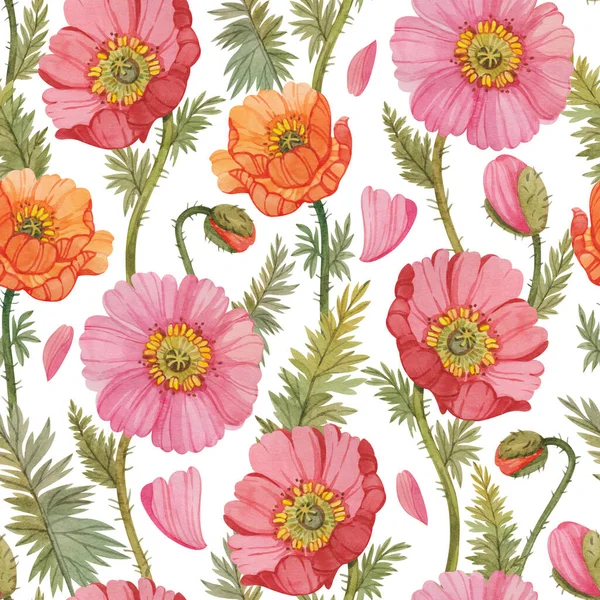 Seamless Pattern Colorful Watercolor Poppies Floral Print Poppies White Background Stockbild