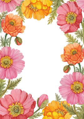 Suluboya ile boyanmış haşhaş çerçevesi ve beyaz arka planda izole edilmiş. Parlak kenar A4 biçimi. Kartpostallar, posterler, davetiyeler, selamlar, formlar, el ilanları ve daha fazlası için şablon.