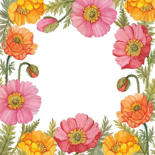Floral Square Frame Poppies Painted Watercolor Isolated White Background Template — Stock Photo, Image