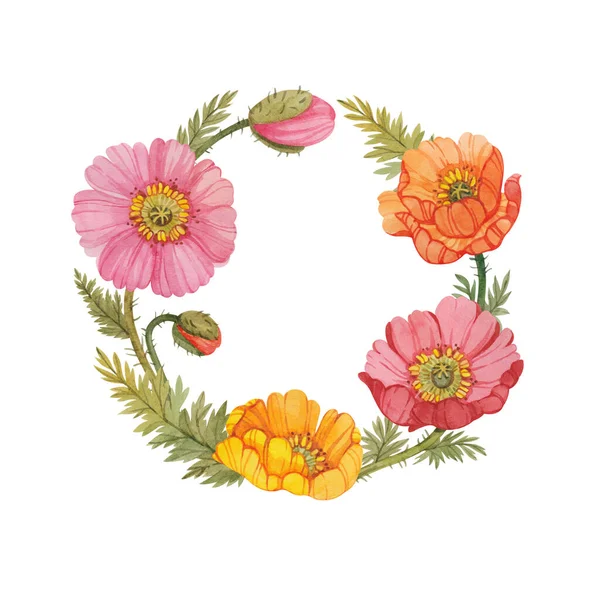 Květinový Kruhový Rám Mákem Malovaným Akvarelem Izolovaným Bílém Pozadí Šablona Royalty Free Stock Fotografie
