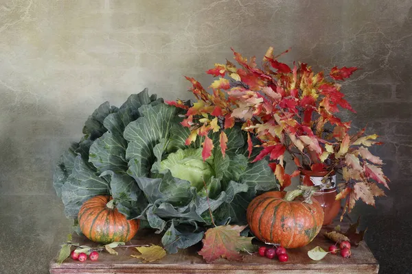 Une Magnifique Tête Chou Citrouille Feuilles Automne Pommes Rouges Reposent — Photo