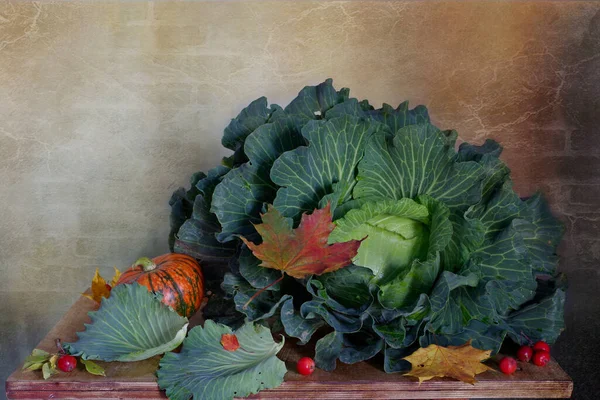 Une Magnifique Tête Chou Citrouille Feuilles Automne Pommes Rouges Reposent — Photo