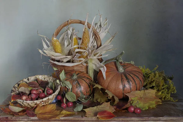 Superbe Citrouille Automne Feuilles Rouge Pommes Belle Allongée Sur Table — Photo