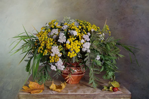 Beau Bouquet Herbes Médicinales Yarrow Tansy — Photo