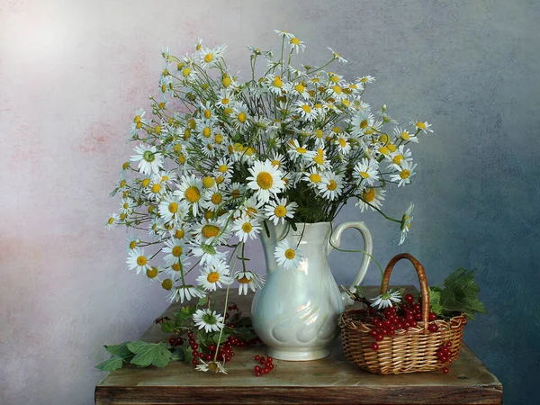Csendélet Százszorszépekkel Sokszínű Hátteren Meadow Virágok Egy Csokorban — Stock Fotó