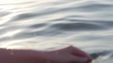 Bir kadının elinin yakın çekimi sahildeki palmiyelerden su topluyor. Gün doğumu