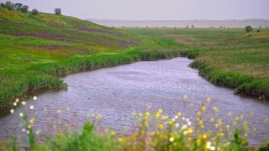 Temiz ekoloji, açık mavi bir göl yeşil bir arazinin ortasında, rüzgarlı bir hava.