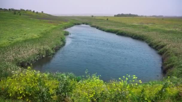 Čistá ekologie, průzračné modré jezero uprostřed zeleného pole, větrné počasí — Stock video