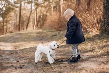 Parkta sevimli küçük bir çocuk. Siyah ceketli çocuk. id bir köpek ile oynarken