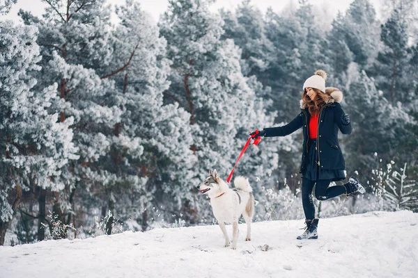 Gyönyörű nő játszik a kutyával — Stock Fotó