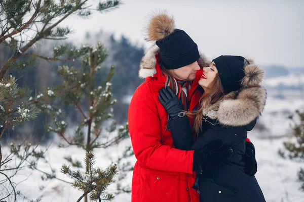 Casal amoroso andando em um parque de inverno — Fotografia de Stock